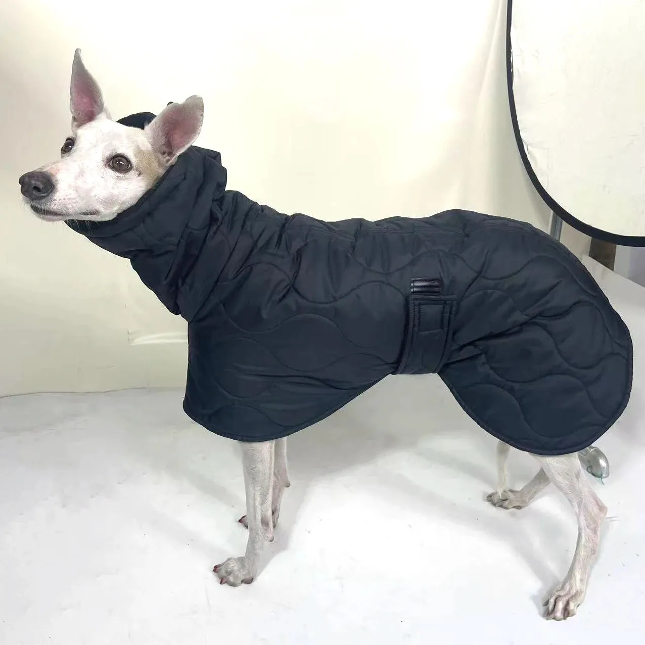 Adjustable Quilted Dog Coat for Winter - Keeping Italian Greyhounds and Whippets Warm in Style - Winter Dog Outer Black Quilted Turtle Collar Dog Coat Warm Italian Greyhound Adjustable Cotton Whippet