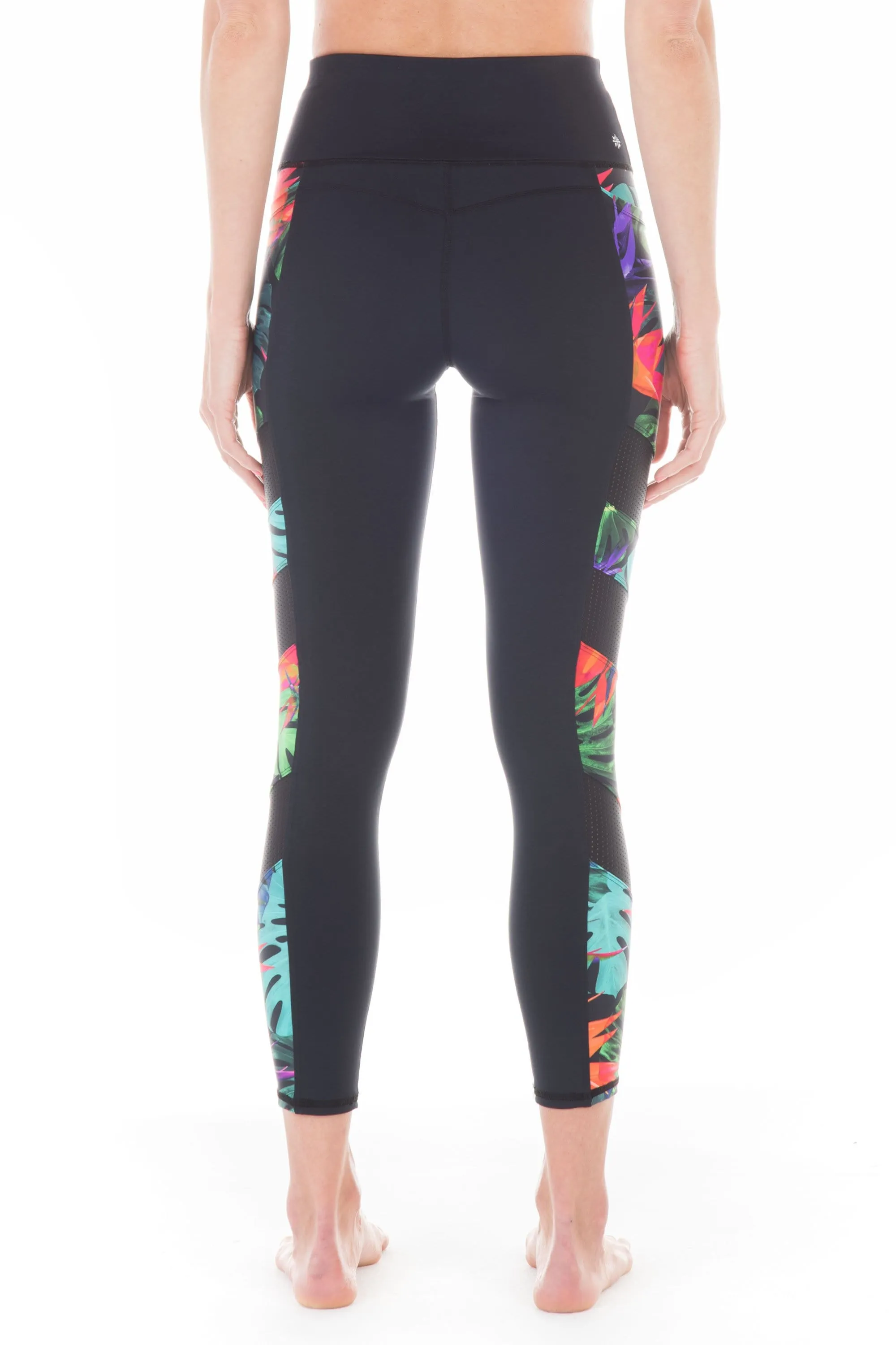 Bird of Paradise | Nalani Track Legging